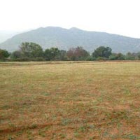 Plots for Sale Near Rayat Bahra University in New Developing Area